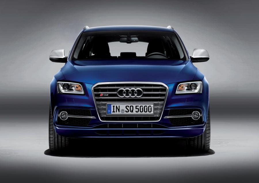  Audi SQ5 TDI (8R) 2013 года  (WW) (фото 67 из 73)